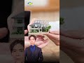 【不動産相続】遺言書 vs 生前贈与!どちらを選ぶべき?|相続対策