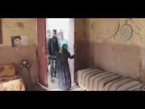 الرجوله في الدم زين القناوي