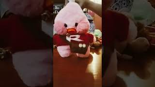 Kawasaki Cago Kriko Y Estriper