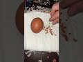 Raw egg peeling challenge : perfect Live #29