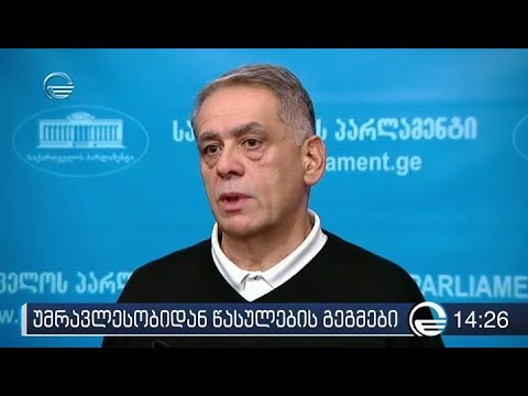 რომან კაკულია საპარლამენტო უმრავლეობის გუნდში რჩება