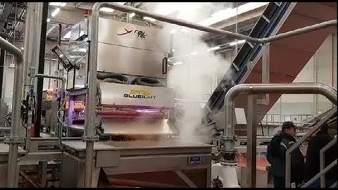 Spray optical sorting machine for diced carrots | RAYTEC VISION SpA