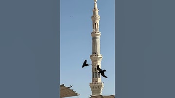#تلاوات #قرآن #عبدالله_خياط #عشرة_ذي_الحجة #محمد_ايوب #ياسر_الدوسري #الجمعة #عبدالودود_حنيف