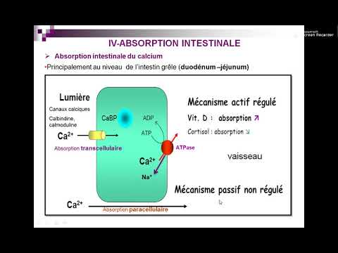 Vidéo: KDM4B Facilite La Croissance Du Cancer Colorectal Et Le Métabolisme Du Glucose En Stimulant L'activation De L'AKT Médiée Par TRAF6