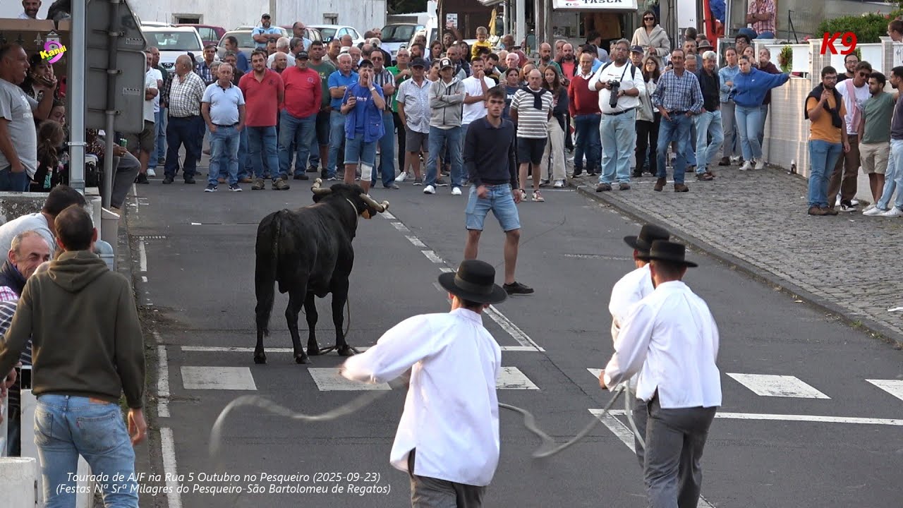 Tourada na Rua 5 de Outubro no Pesqueiro, com toiros de AJF (2025-09-23)