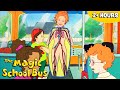 The Human Body Bones Muscles Digestion Germs And More Full Episodes The Magic School Bus