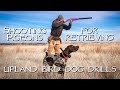 Shooting Pigeons For Retrieving - Upland Bird Dog Training Shooting Pigeons For Retrieving - Upland Bird Dog Training