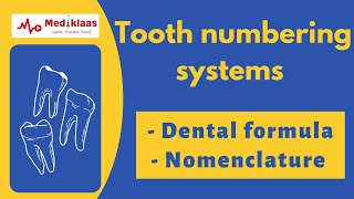 Tooth numbering systems in 10 mins