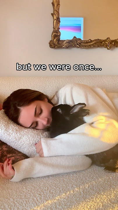 Download lagu 10 Years of Bunny Love: My Journey with Lennon ❤️😭 #rabbit