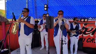 Liberatto 𝗖𝗼𝗧𝗼𝗿𝗿𝗲𝗼𝗻 𝗠𝘂𝘀𝗶𝗰𝗮𝗹 𝗢𝗳𝗶𝗰𝗶𝗮𝗹 Cotorreo En La Laguna CoTorreon Musical