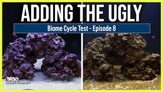 Ep: 8 Biome Cycle Phase 2...Which of the 12 Test Aquariums Will Beat ALL of the Uglies?
