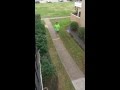 Crazy Neighbors-Houston