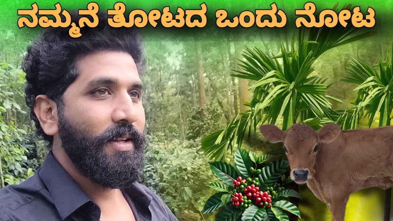ನಮ್ಮನೆ ತೋಟದ ಒಂದು ನೋಟ | PROUD TO BE FARMER | YAKSHITH VLOGS