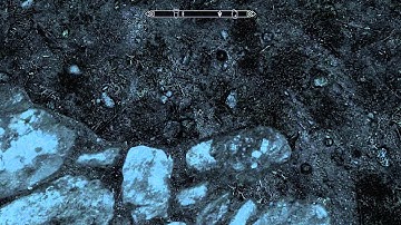 Skyrim Water Bug