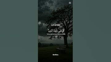 كل نفس ذائقة الموت 🖤💫 تلاوة هادئة 🖤💫