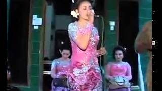 Wedhos Koplo Fortuna