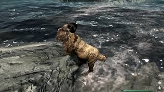 Goat in a River - Skyrim