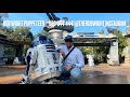 Rob Wight Puppeeter Live shows Demo Reel