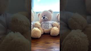 Personalized Valentine's Day Bears: Make Her Heart Melt