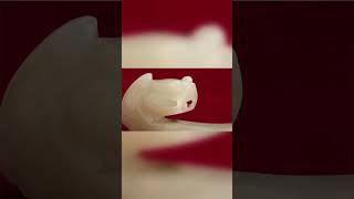 Download Lagu Unveiling an Unbelievable Treasure: 300 Years of Imperial Elegance in One Glimpse. MP3