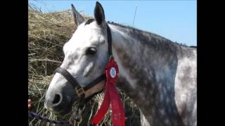 Download Lagu We'll miss you Sammi MP3