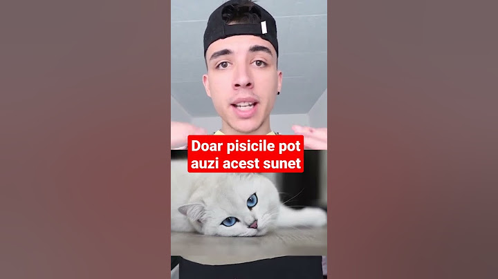 Doar Pisicile Pot Auzi Acest Sunet #shorts #romania