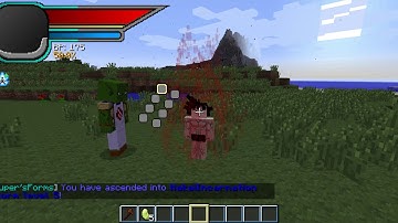 Hakai Incarnation form