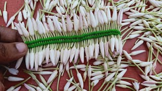 chain stich style pink jasmine garland making ideas/how to tie pink jasmine in criss cross method