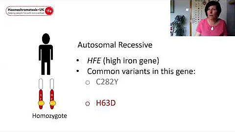 An introduction to the genetics of haemochromatosis