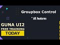 Guna UI2 Groupbox Control