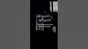 القارئ انس المالك📻🤍