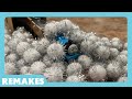 Terence the Tractor | 2024 Remake | Snowy Crash