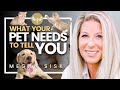 What Your Pets NEED You To KNOW [POWERFUL] Animal Communication Animal Communicator Megan Sisk