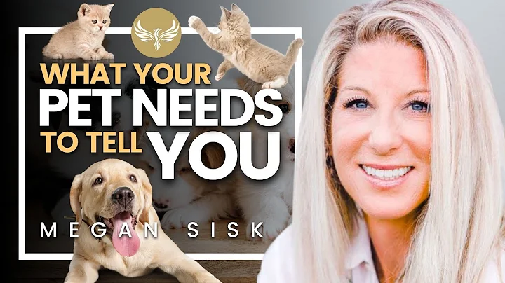 What Your Pets NEED You To KNOW [POWERFUL] Animal ...