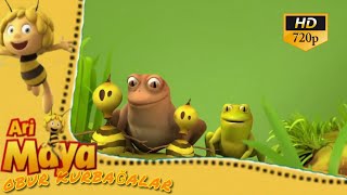 Ari Maya Obur Kurbağalar