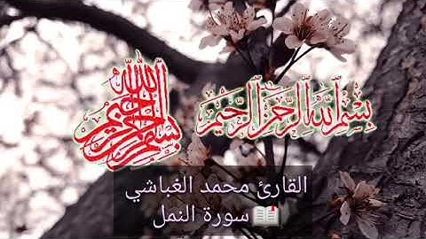 مقطع مرتل بصوت🎧 القارئ محمد الغباشي🎤 📖( قُلِ الْحَمْدُ لِلَّهِ )