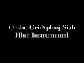 Or Jao Oei/ Nplooj Siab Hlub Girl Instrumental