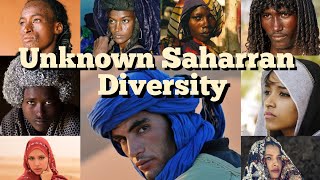 Different and diverse North African Saharawi Ethnic groups.