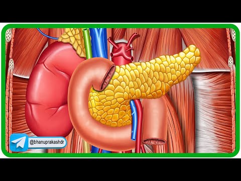 ቪዲዮ: Duodenum ሊወገድ ይችላል?