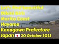 Let S Find Beautiful Bikini Girls Morito Coast Hayama Japan 20 October 2025 