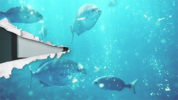 Torn Paper Transitions - Final cut pro X