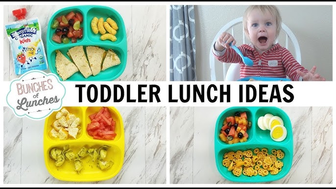 Toddler Lunch Ideas! Bento Box - Healthy, Easy & Kosher! 