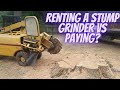 Renting a stump grinder vs paying someone