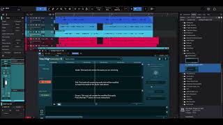 [Demo] Synchro Arts - VocAlign 5 Project