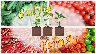 New technology for planting seedlings - Sadyba YermAn - Нова технологія висадки розсади.