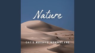 Whisker Wonderland: Cat's Serene Retreat