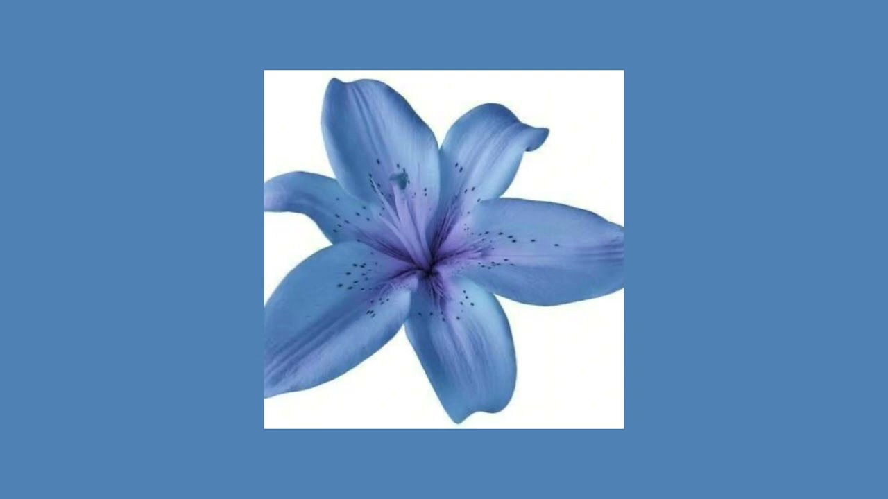 Connie Francis - Pretty Little Baby (sped up)