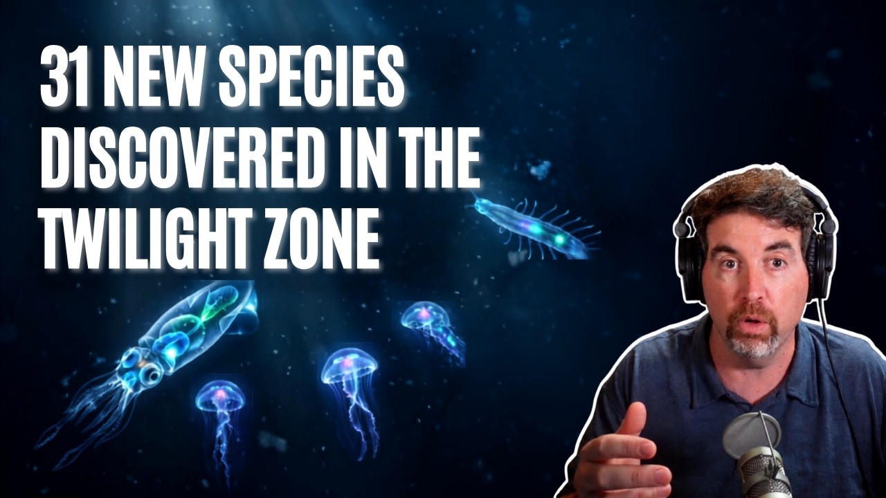 How Scientists Just Found 31 New Species in Only 2 Weeks