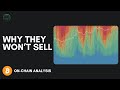Bitcoin's Biggest Holders ARE NOT Selling