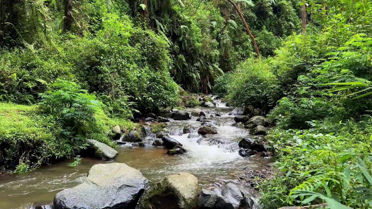 Unwind deeply with calming river sound around soft water to keep long peaceful restful sleep